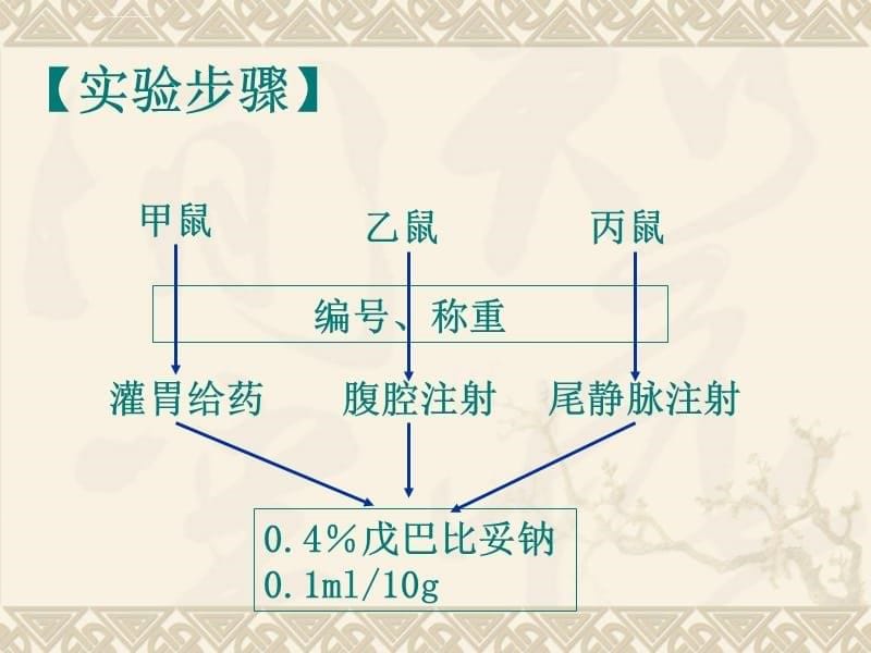 不同给药途径对药物作用的影响ppt课件_第5页