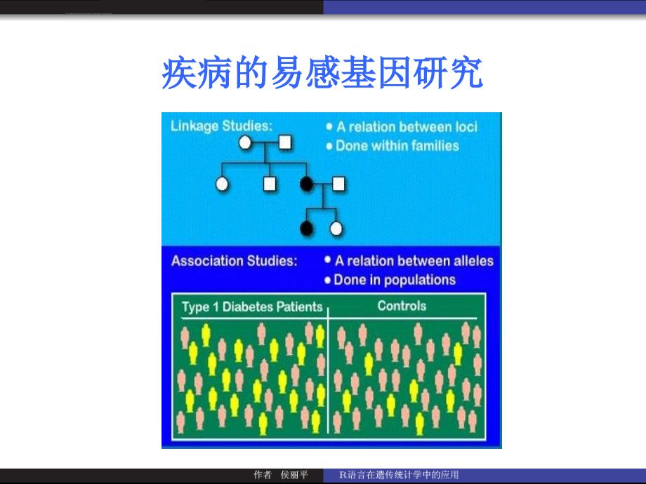 R语言在遗传统计学中的应用ppt课件_第4页