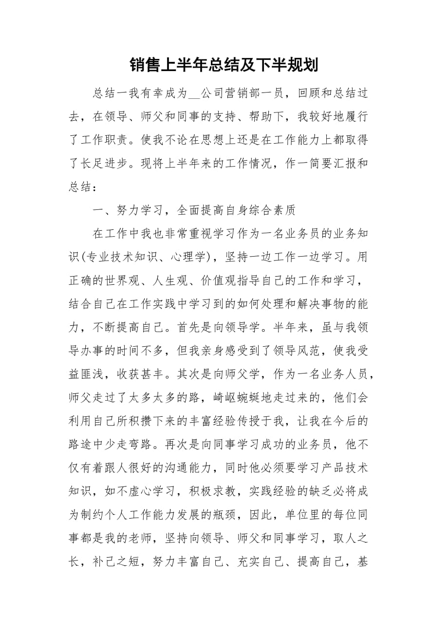 销售上半年总结及下半规划_第1页