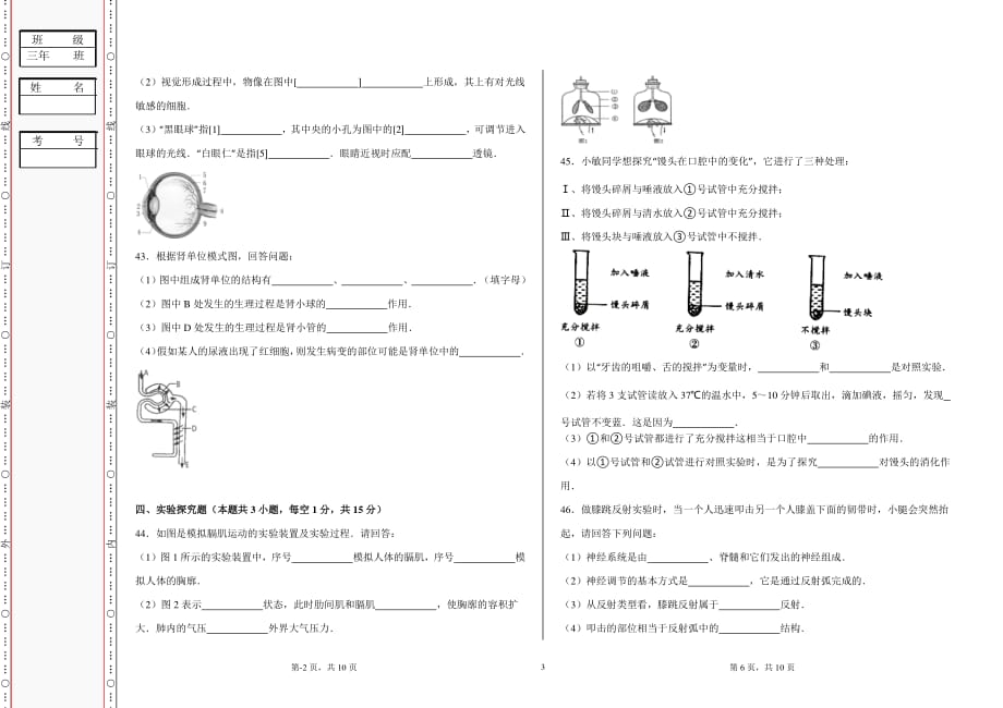 人教版七年级生物下册期末试题(有答案)（2020年10月整理）.pdf_第3页