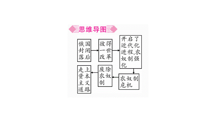 中学历史俄国的改革课件_第4页