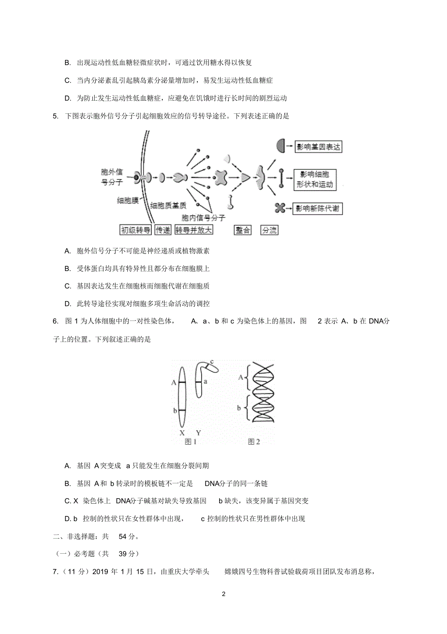 2020年新（疆高考生物模拟试题与答案）_第2页