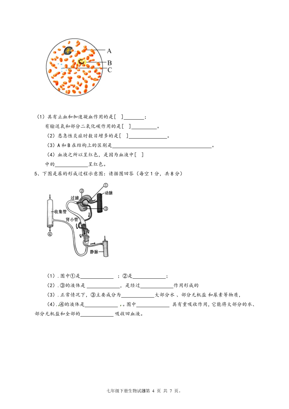 人教版七年级下册生物期末测试题附答案（2020年10月整理）.pdf_第4页