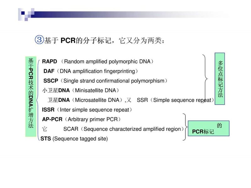《分子标记技术》PPT幻灯片_第5页