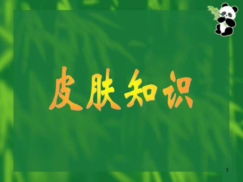 《美容知识培训大全》PPT幻灯片_第3页