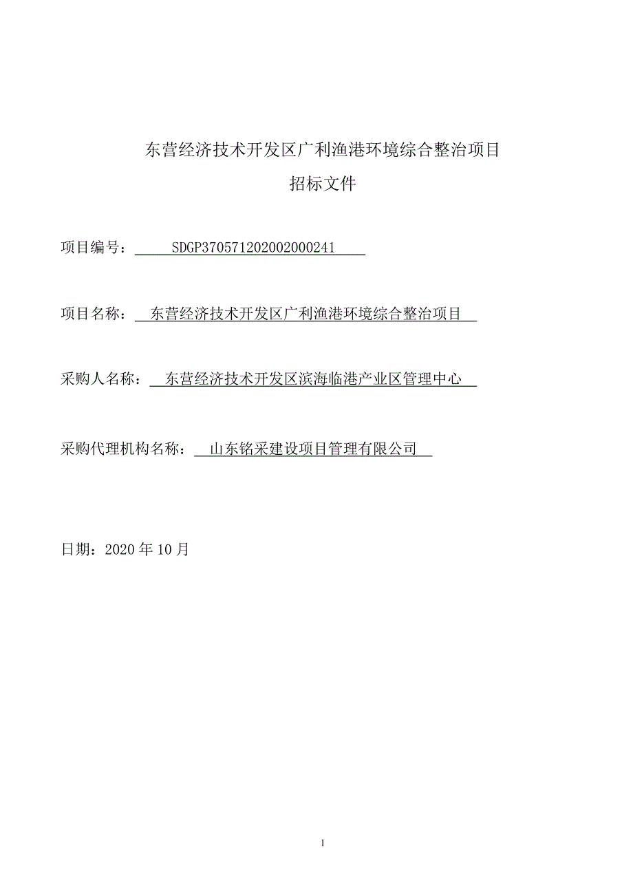 东营经济技术开发区广利渔港环境综合整治项目招标文件_第2页