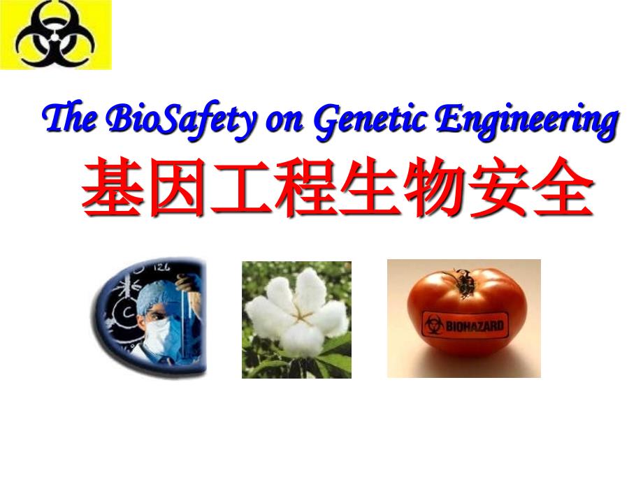 《基因工程生物安全》PPT幻灯片_第1页