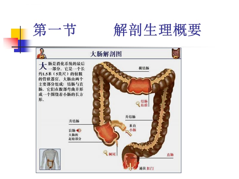 第二十三章大肠肛管疾病病人的护理ppt课件_第3页