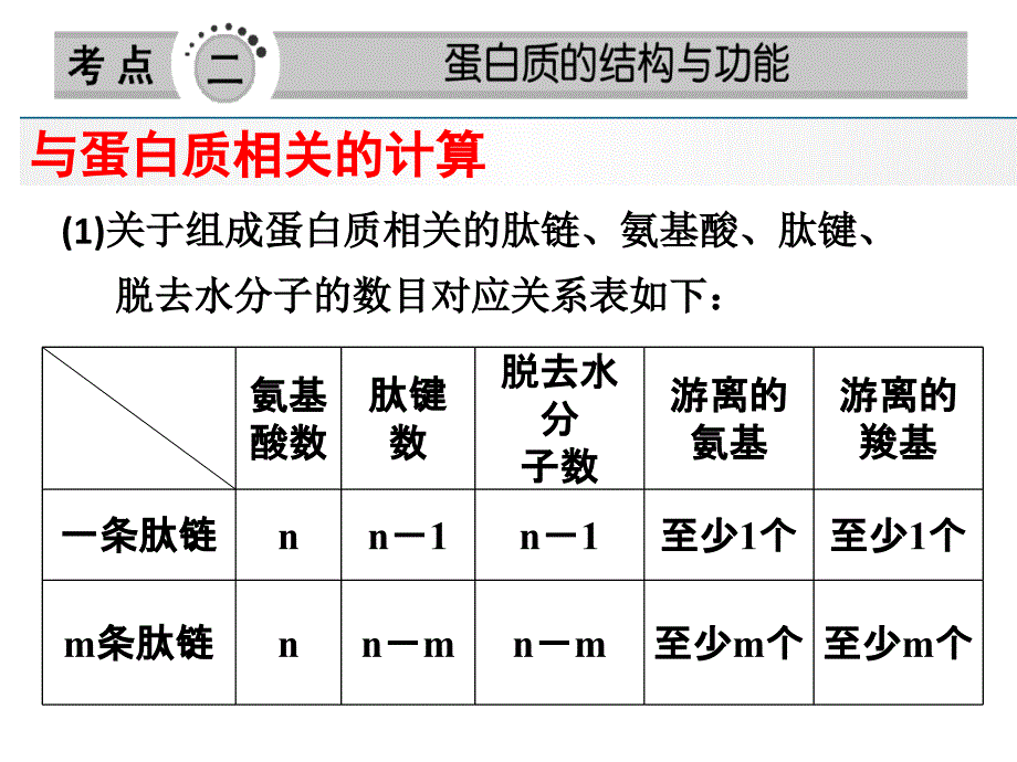 有关蛋白质的计算ppt课件_第2页