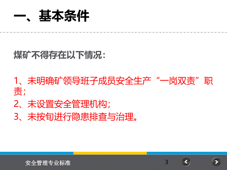 《安全管理专业标》PPT幻灯片_第3页