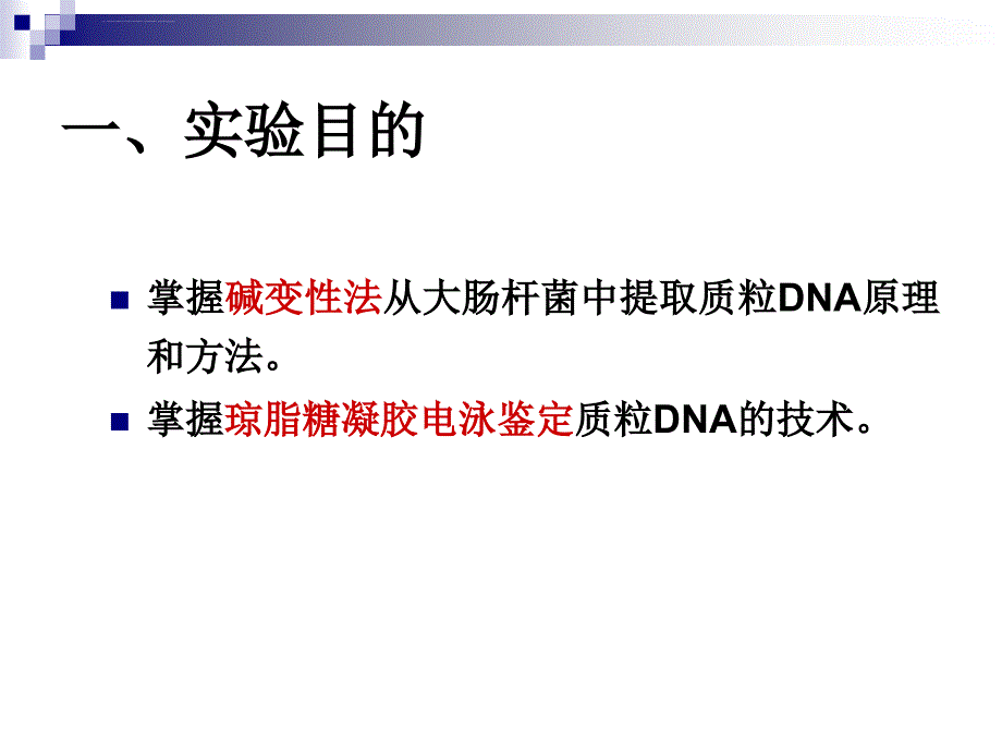 质粒DNA的提取鉴定ppt课件_第2页