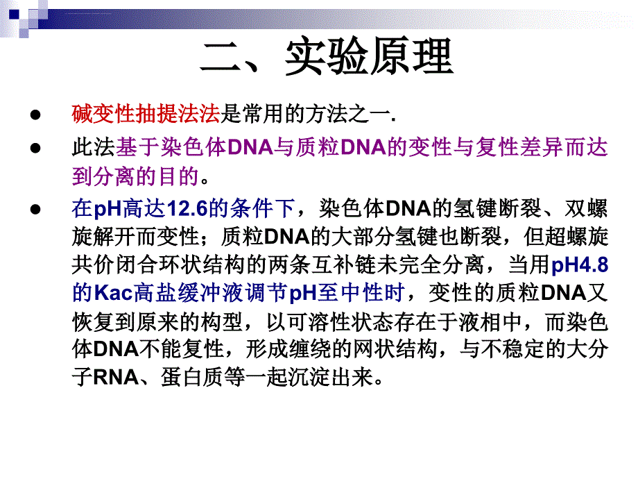 质粒DNA的提取鉴定ppt课件_第4页