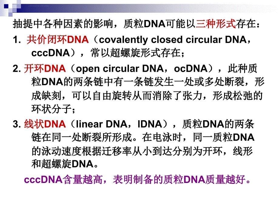 质粒DNA的提取鉴定ppt课件_第5页