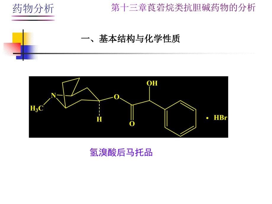 第十三章莨菪烷类抗胆碱药物的分析ppt课件_第5页