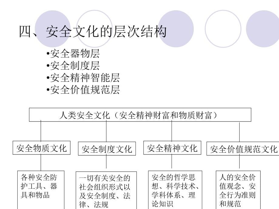 《安全社会原理》PPT幻灯片_第5页