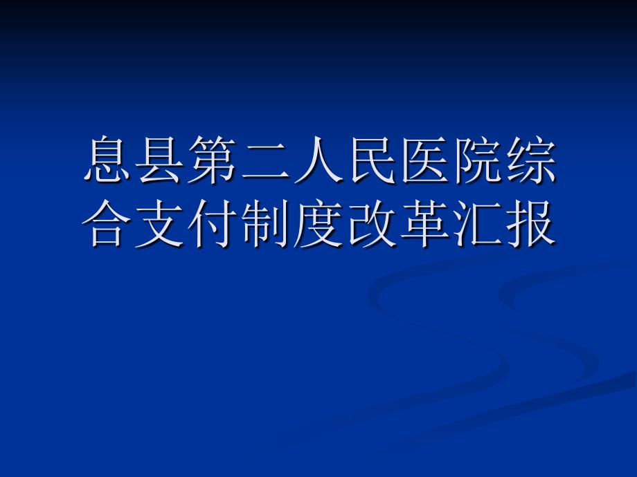 综合支付情况汇报ppt课件_第1页