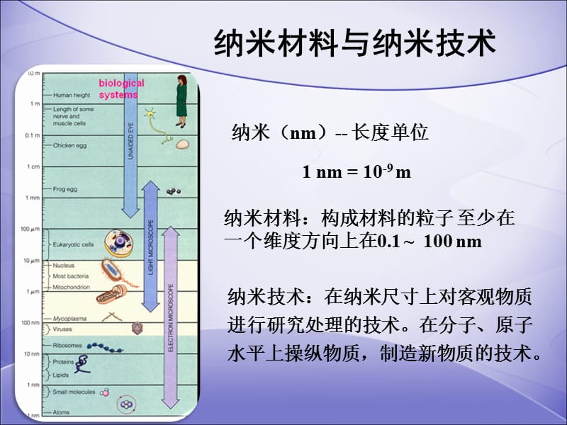 化妆品中纳米材料的生物安全研究PPT幻灯片_第3页