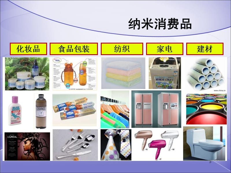 化妆品中纳米材料的生物安全研究PPT幻灯片_第5页