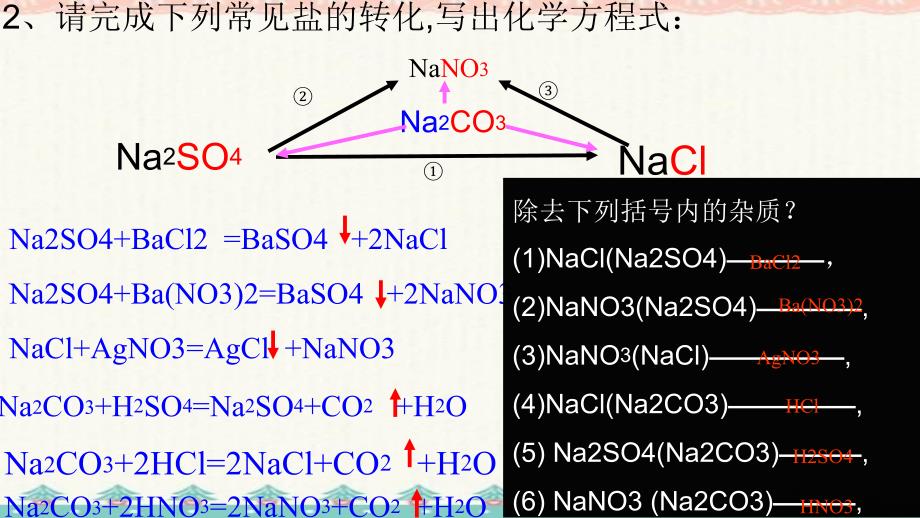 2021酸碱盐--除杂编订_第2页