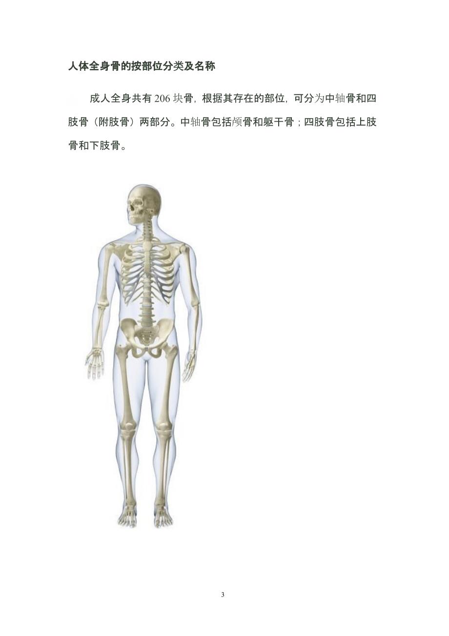人体主要关节（2020年10月整理）.pptx_第3页