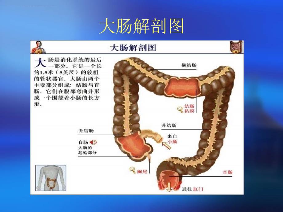 2016经腹直肠癌根治术护理查房ppt课件_第4页