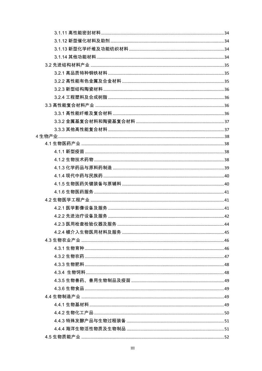 战略新兴产业目录_第5页