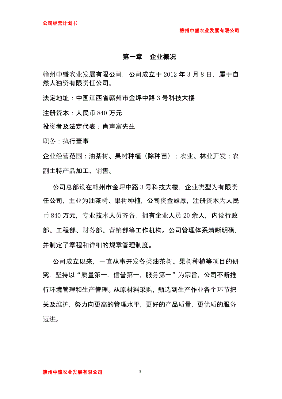 公司运营计划书模板企业运行计划（2020年10月整理）.pptx_第3页