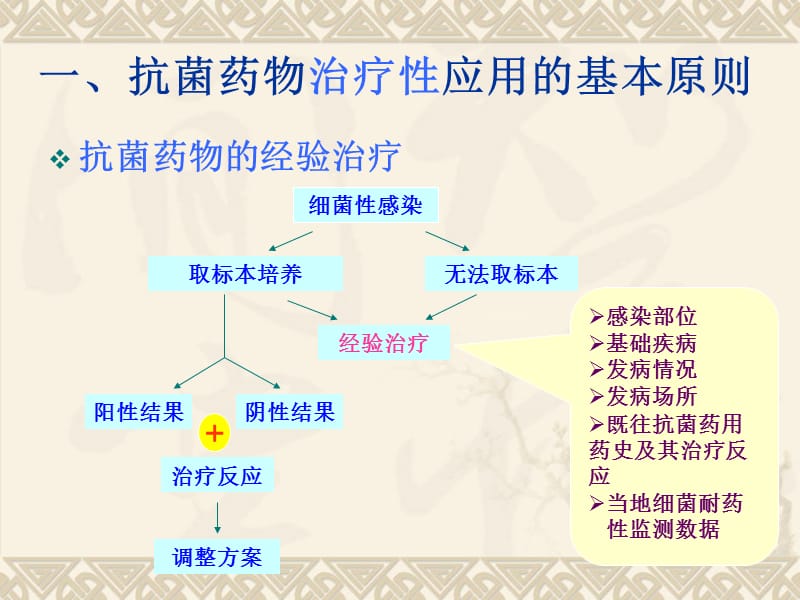 2015抗菌药物指导原则-最新版ppt课件_第3页