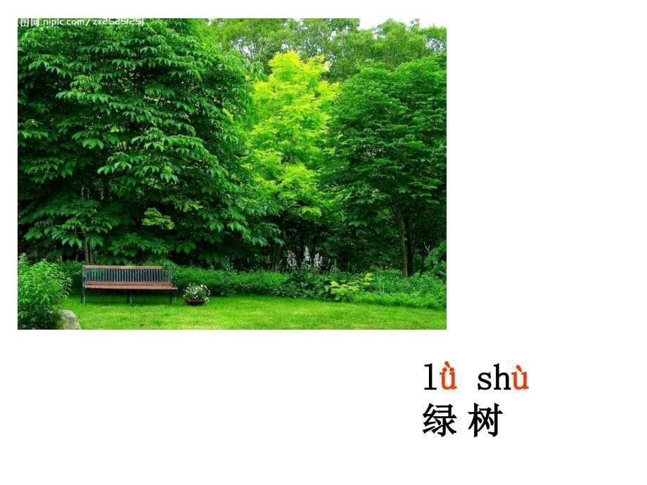 2016秋苏教版语文一年级上册识字4《公园 绿树 红花》ppt课件_第5页