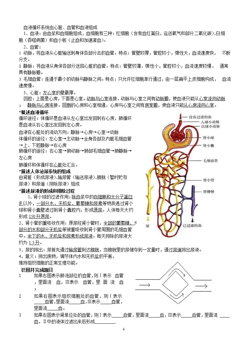 人教版生物七年级下册复习提纲（2020年10月整理）.pptx_第4页