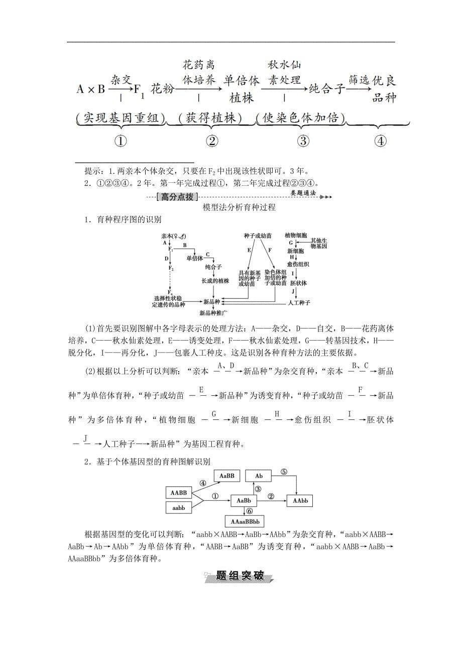 高考生物大一轮复习 第七单元 生物变异、育种和进化 第24讲 从杂交育种到基因工程讲义_第5页