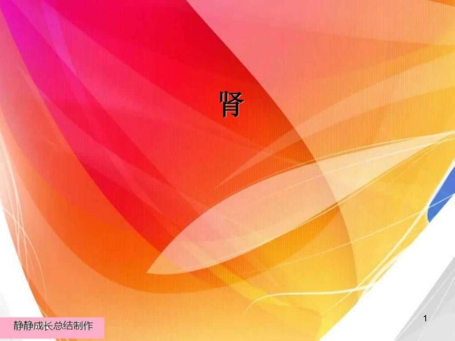 《兽医学习肾》PPT幻灯片_第1页