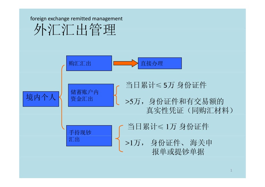 外汇汇出管理_第1页