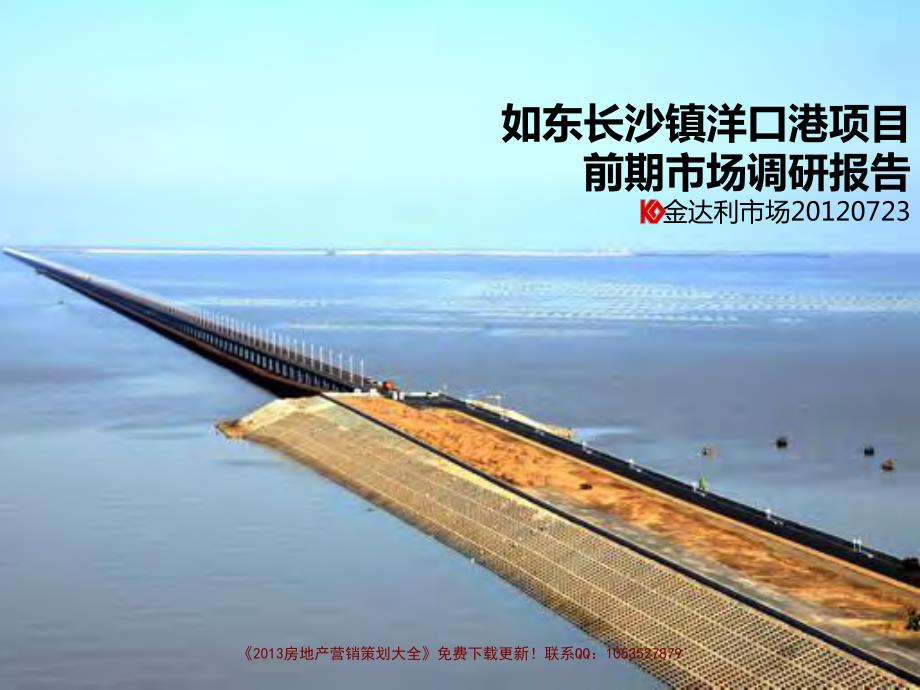 如东长沙镇洋口港项目前期市场调研报告_第1页