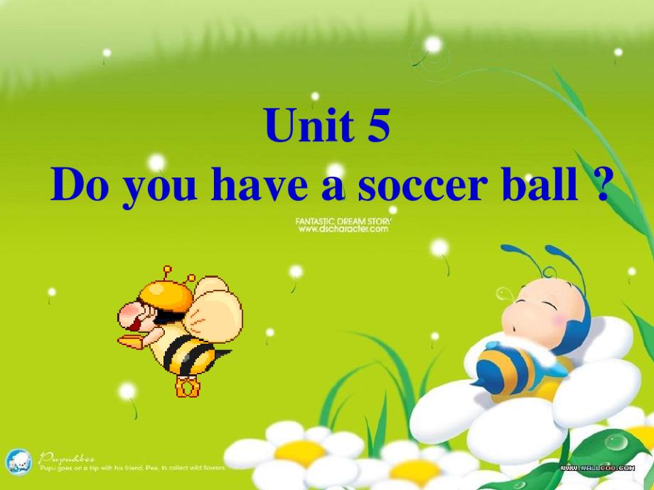 Unit5_Do_you_have_a_soccer_ball（新编写）_第1页