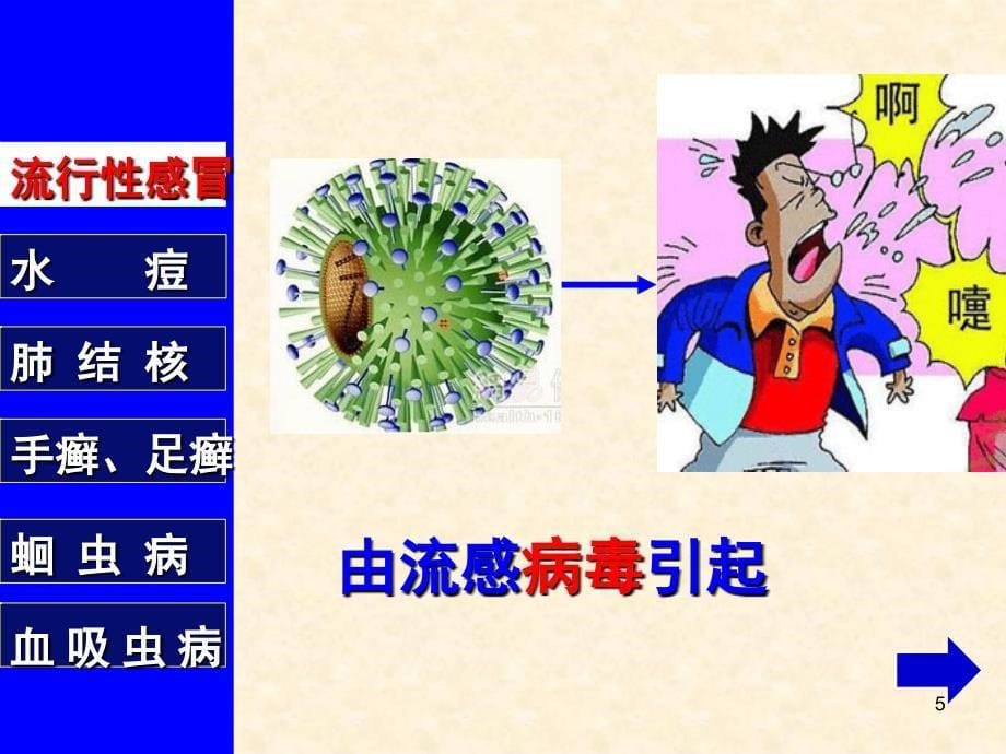 传染病及其预防公开课PPT幻灯片_第5页