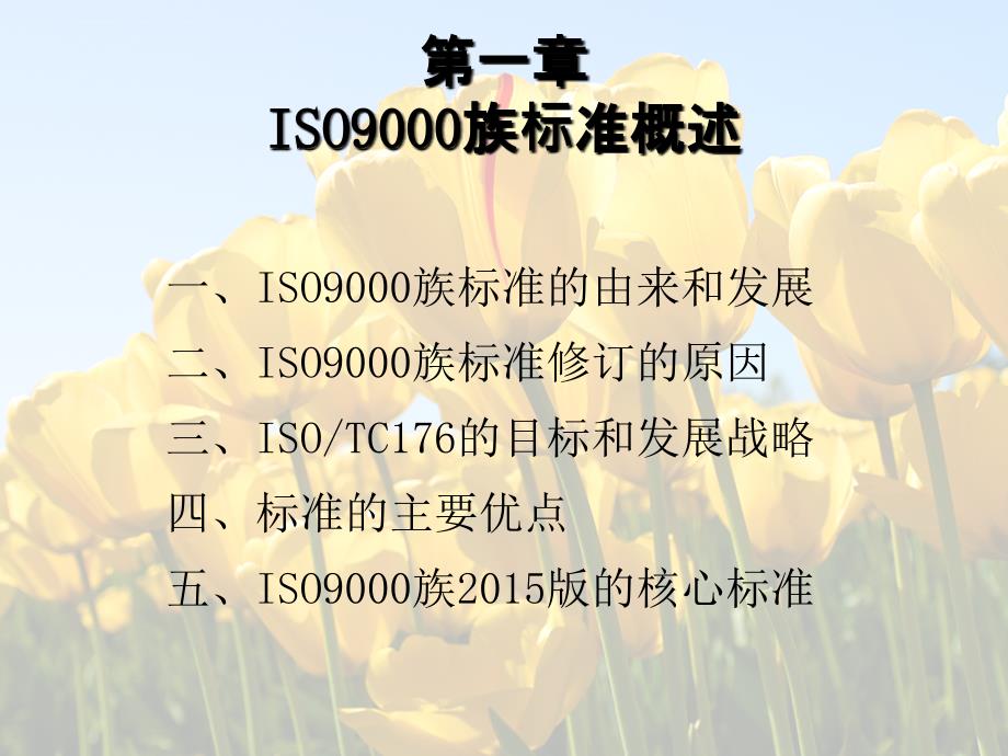 2015版ISO9001质量管理体系要求ppt课件_第2页