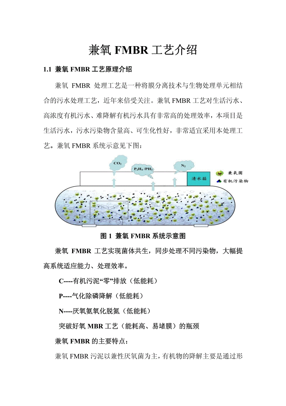 兼氧FMBR工艺介绍-1新修订_第1页