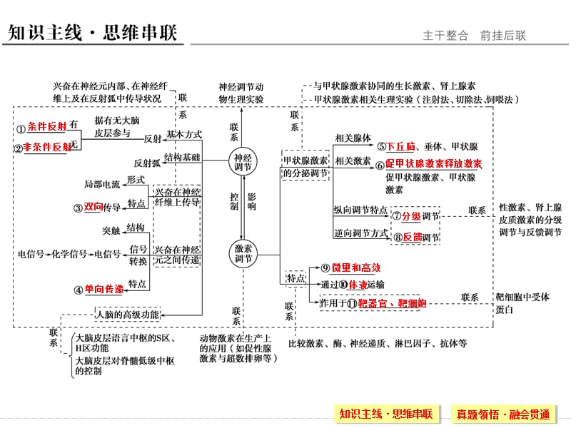 2016创新设计江苏专用高考生物二轮专题复习课件――第四单元专题一_第2页