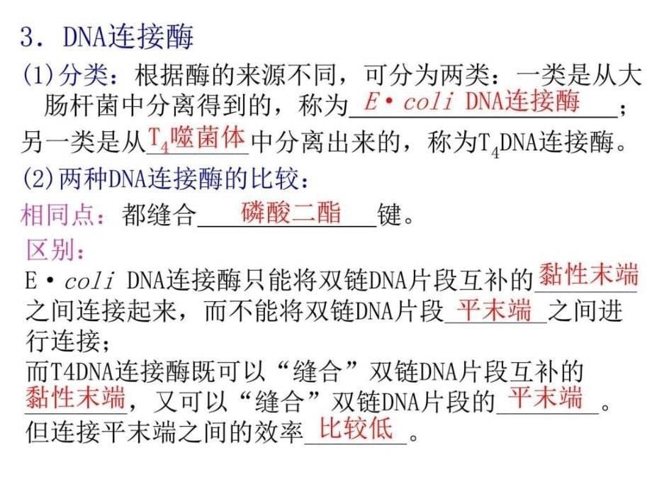 2019年 DNA重组技术的基本工具ppt课件_第5页