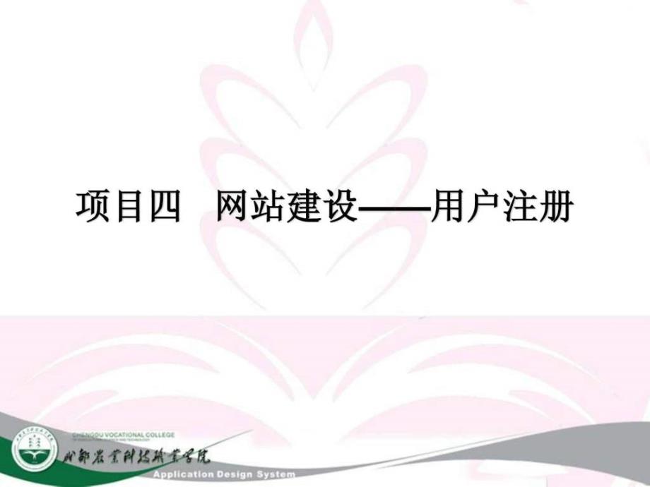 2019年net项目开发项目四用户注册ppt课件_第2页