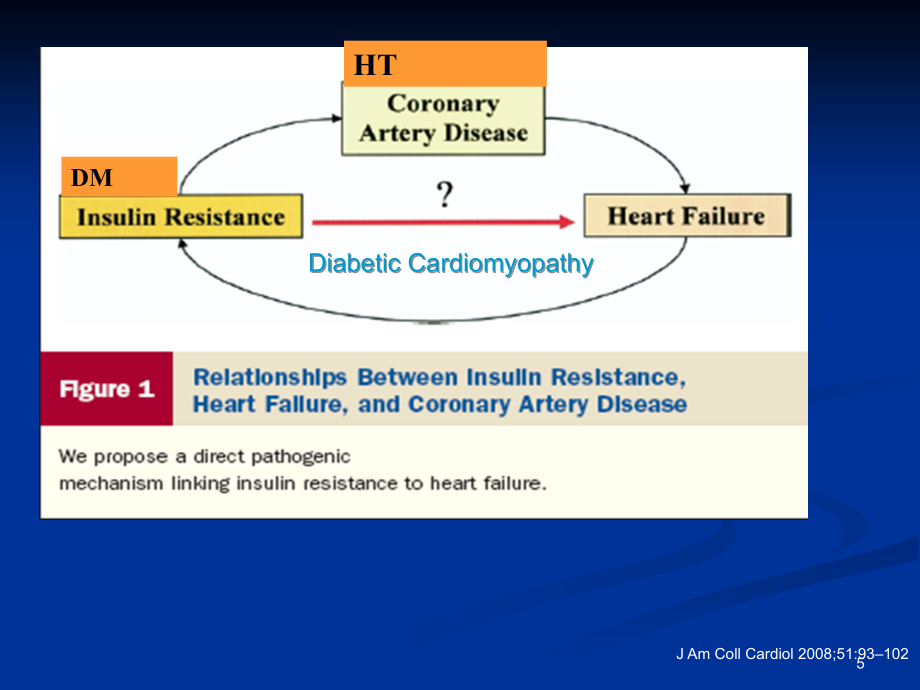 ACEI-糖尿病患者的心脏保护演示课件_第4页