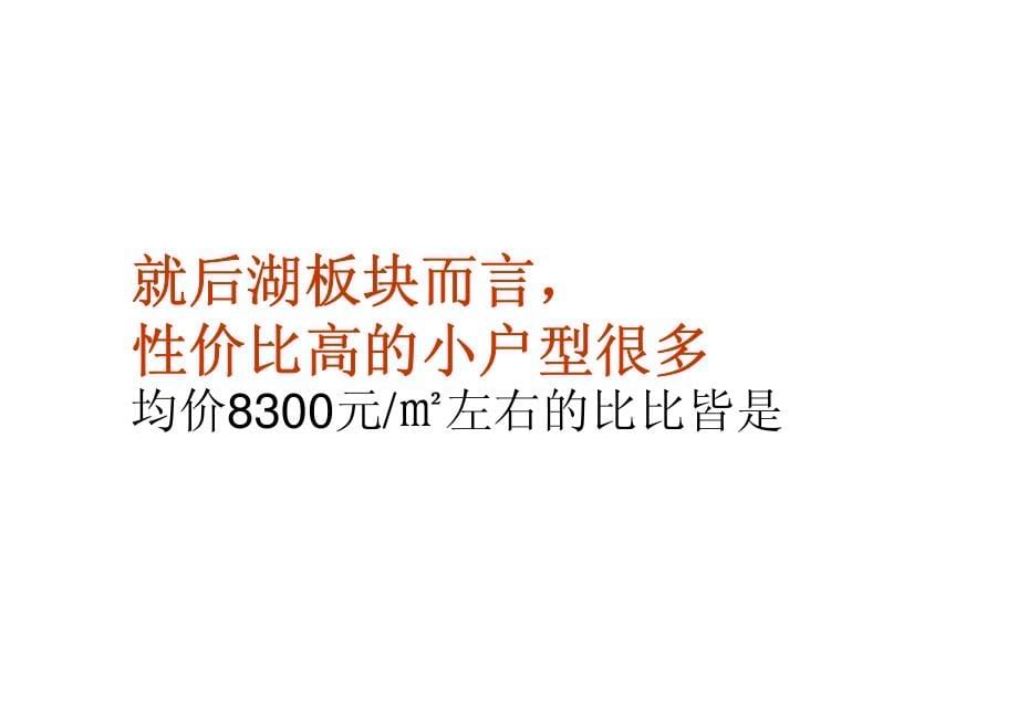 武汉三元后湖商业街项目推广提案营销策划方案_第5页