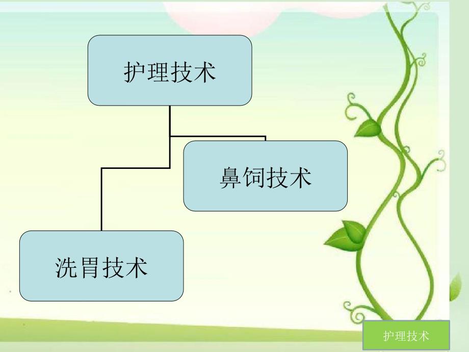 《鼻饲护理技术》ppt演示课件_第2页