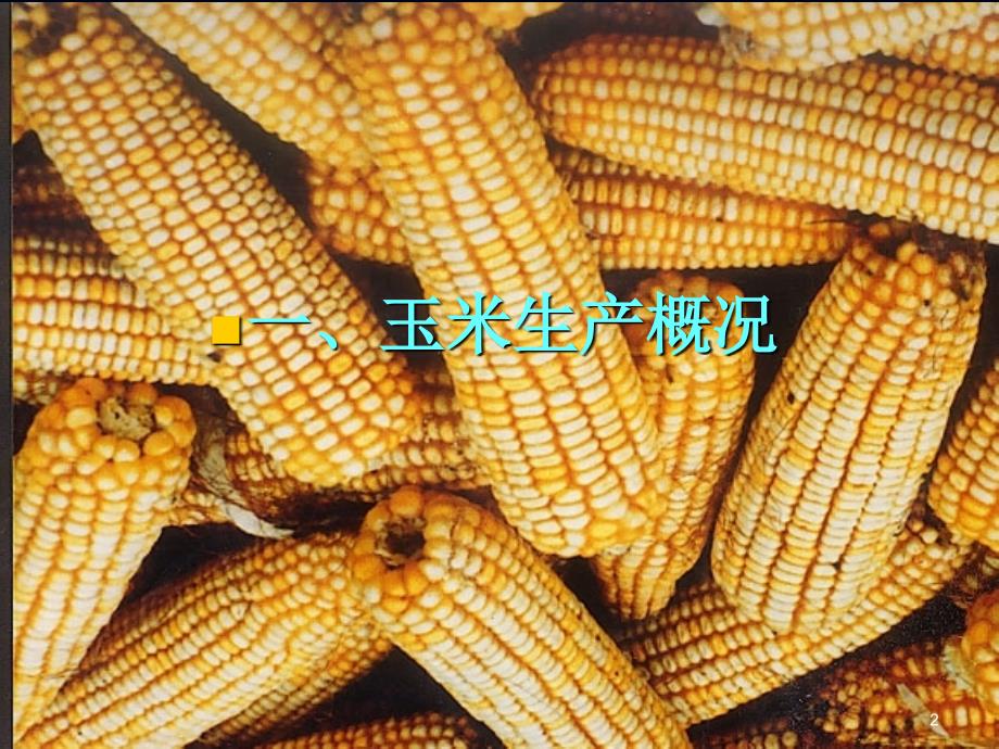 玉米栽培技术培训演示课件_第2页