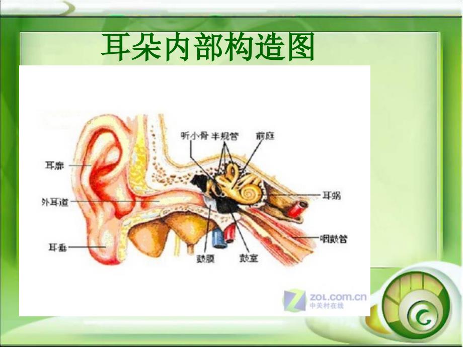 突发性耳聋的护理查房编订_第3页