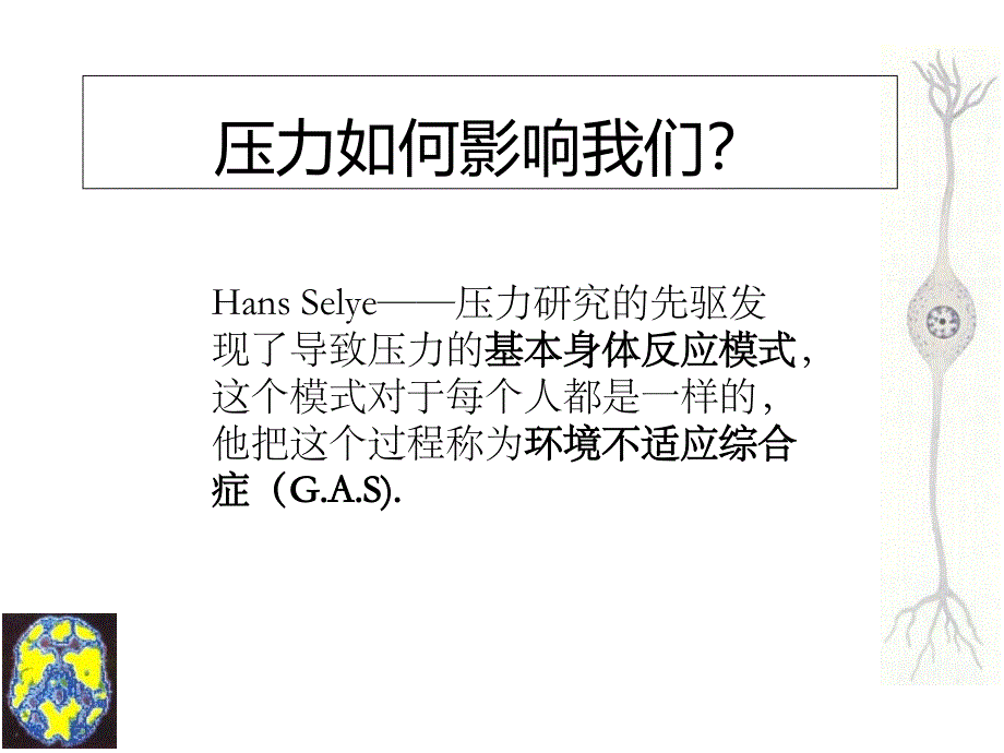 2019年健脑操陈昱亨有动作图--原名教师职业压力管理ppt课件_第4页