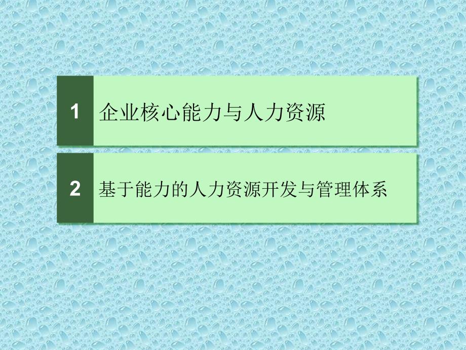 2019年基于能力的人力资源开发与管理体系ppt课件_第2页