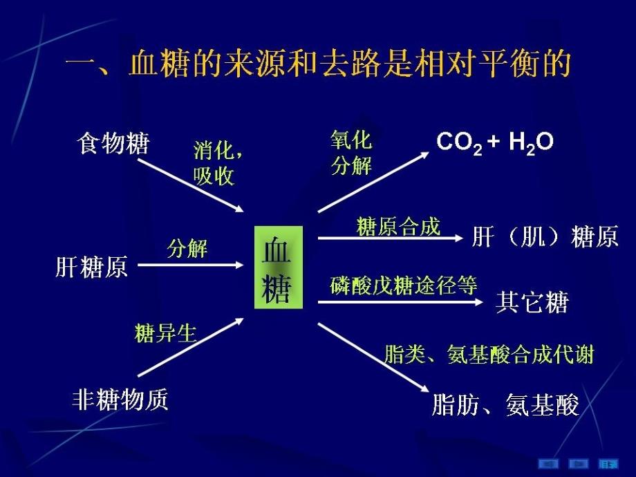 细胞生物学-糖尿病pblPPT演示课件_第4页