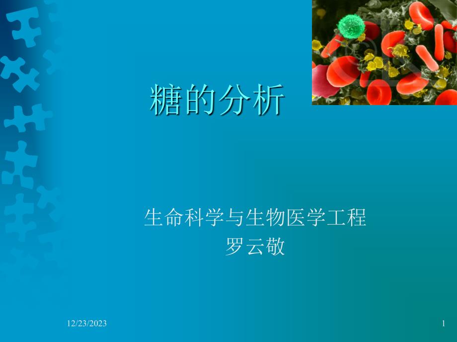 2019年第十一章糖的分析ppt课件_第1页